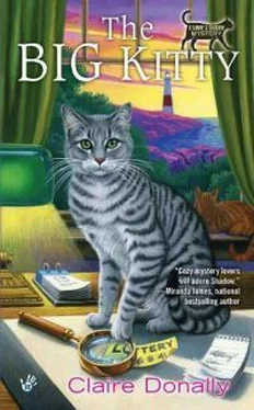 Клер Донелли The Big Kitty обложка книги