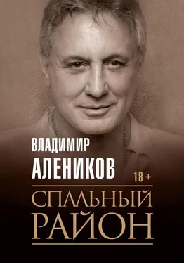 Владимир Алеников Спальный район обложка книги