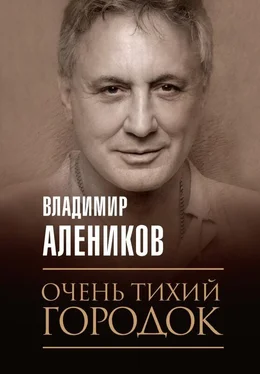 Владимир Алеников Очень тихий городок обложка книги