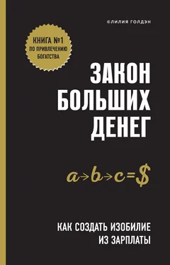 Лилия Голдэн Закон больших денег [Как создать изобилие из зарплаты] [litres] обложка книги