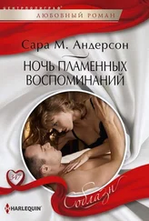 Сара Андерсон - Ночь пламенных воспоминаний