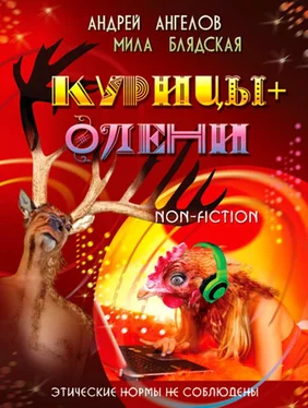 Андрей Ангелов Курицы + Олени (в соавторстве с Милой Блядской) обложка книги