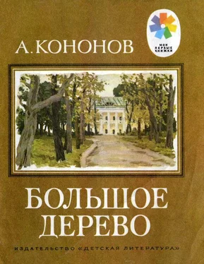 Александр Кононов Большое дерево [Рассказы о В. И. Ленине] обложка книги