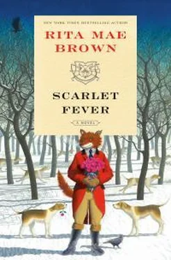 Рита Браун Scarlet Fever обложка книги