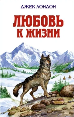 Джек Лондон Любовь к жизни обложка книги