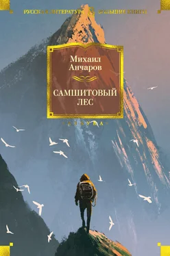 Михаил Анчаров Самшитовый лес [litres] обложка книги