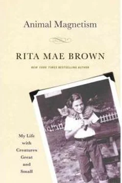 Рита Браун Animal Magnetism