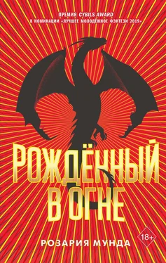 Розария Мунда Рожденный в огне [litres] обложка книги