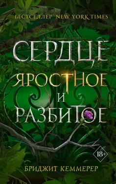 Бриджид Кеммерер Сердце яростное и разбитое [litres] обложка книги