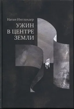 Натан Энгландер Ужин в центре Земли обложка книги