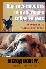 Кевин Кохер - Как тренировать полицейских собак-ищеек и розыскных патрульных собак. Метод Кохера