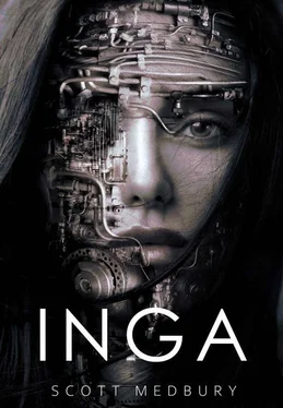 Scott Medbury Inga обложка книги