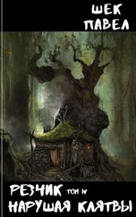 Павел Шек - Нарушая клятвы [СИ]