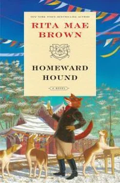 Рита Браун Homeward Hound обложка книги