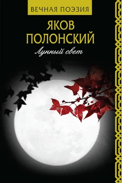 Яков Полонский Лунный свет обложка книги