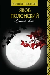 Яков Полонский - Лунный свет