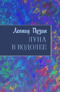 Леонид Пузин Луна в Водолее [СИ] обложка книги