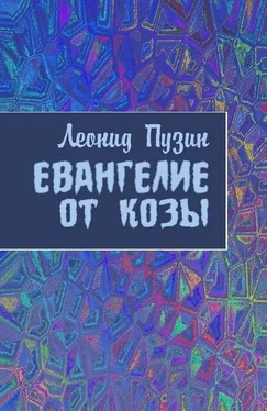 Леонид Пузин Евангелие от козы [СИ] обложка книги