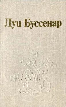 Тьери Шеврие Луи Буссенар и его «Письма крестьянина» обложка книги