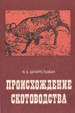 Виктор Шнирельман Происхождение скотоводства (культурно-историческая проблема) обложка книги