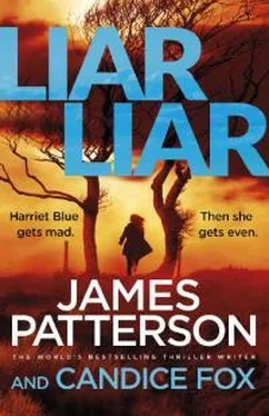 Джеймс Паттерсон Liar Liar обложка книги