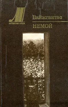 Вайжгантас Немой обложка книги