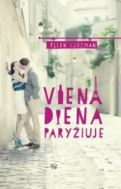 Ellen Sussman Viena diena Paryžiuje обложка книги