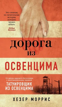 Хезер Моррис Дорога из Освенцима [litres] обложка книги