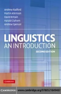 Andrew Radford Linguistics An Introduction [Second Edition] обложка книги