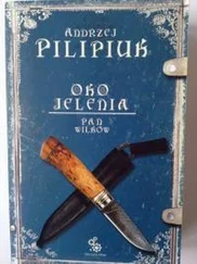 Анджей Пилипюк - Pan Wilków