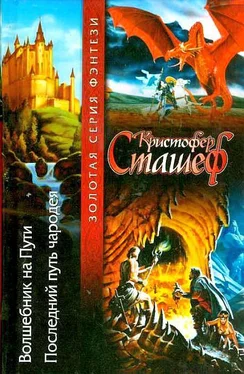 Кристофер Сташеф Волшебник на пути. Последний путь чародея обложка книги