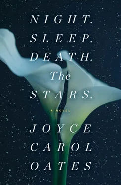 Джойс Оутс Night. Sleep. Death. The Stars обложка книги