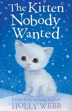 Холли Вебб The Kitten Nobody Wanted обложка книги