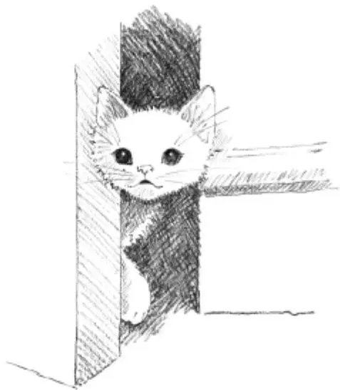 Whiskers pattered down the hallway his nose twitching He felt confused Maybe - фото 50