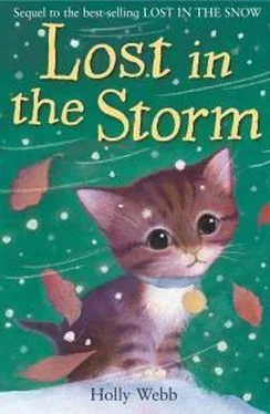 Холли Вебб Lost In The Storm обложка книги