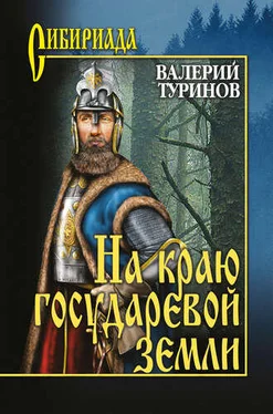 Валерий Туринов На краю государевой земли обложка книги