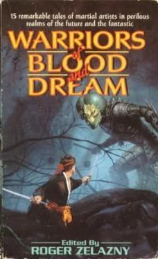 Роджер Желязны Warriors of Blood and Dream обложка книги