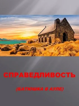 Семён Афанасьев Справедливость обложка книги