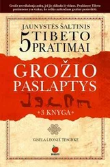 Gisela Teschke - Grožio paslaptys