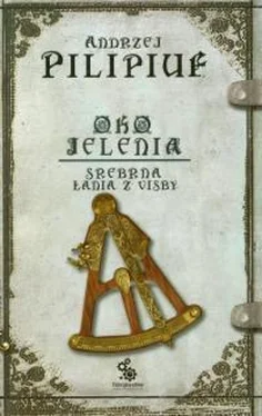 Анджей Пилипюк Srebrna Lania z Visby обложка книги