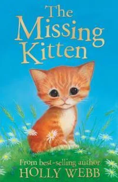 Холли Вебб The Missing Kitten