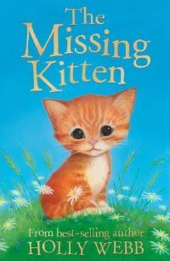 Холли Вебб The Missing Kitten обложка книги