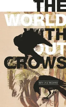 Ben Bedard The World Without Crows обложка книги