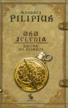 Анджей Пилипюк Droga do Nidaros обложка книги