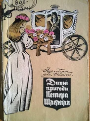 Адельберт Шаміссо - Дивні пригоди Петера Шлеміля