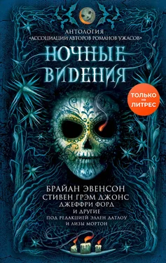 Пэт Кэдиган Ночные видения [сборник litres] обложка книги