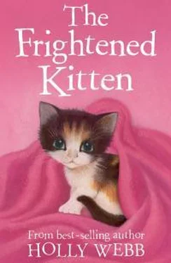 Холли Вебб The Frightened Kitten обложка книги