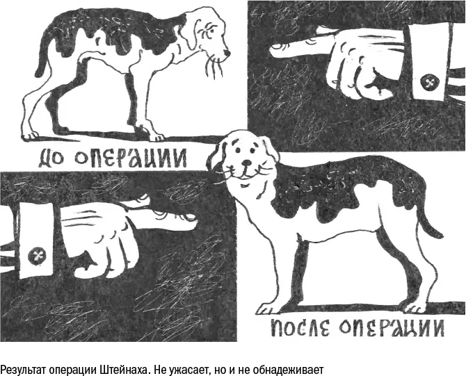 В то же время Штейнах обнаружил еще один способ имитировать омоложение - фото 62
