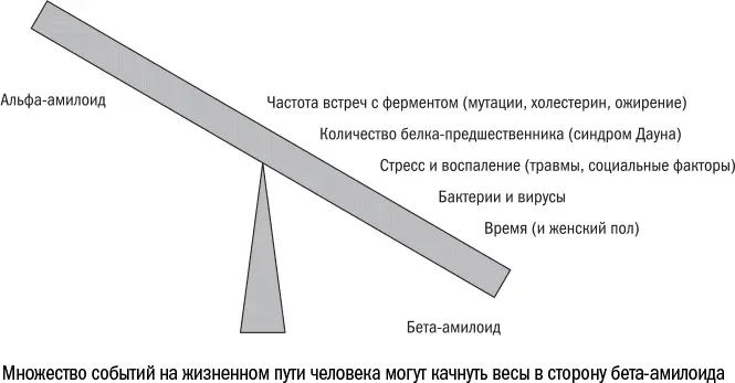 Чем больше времени проходит тем выше вероятность что в жизнь мозга вмешаются - фото 71