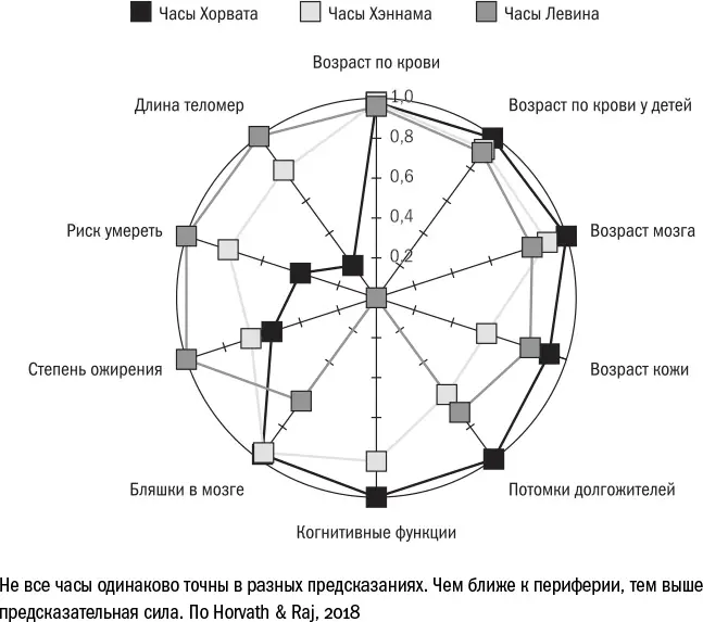 Трудности пересчета Список потенциальных маркеров биологического возраста на - фото 78